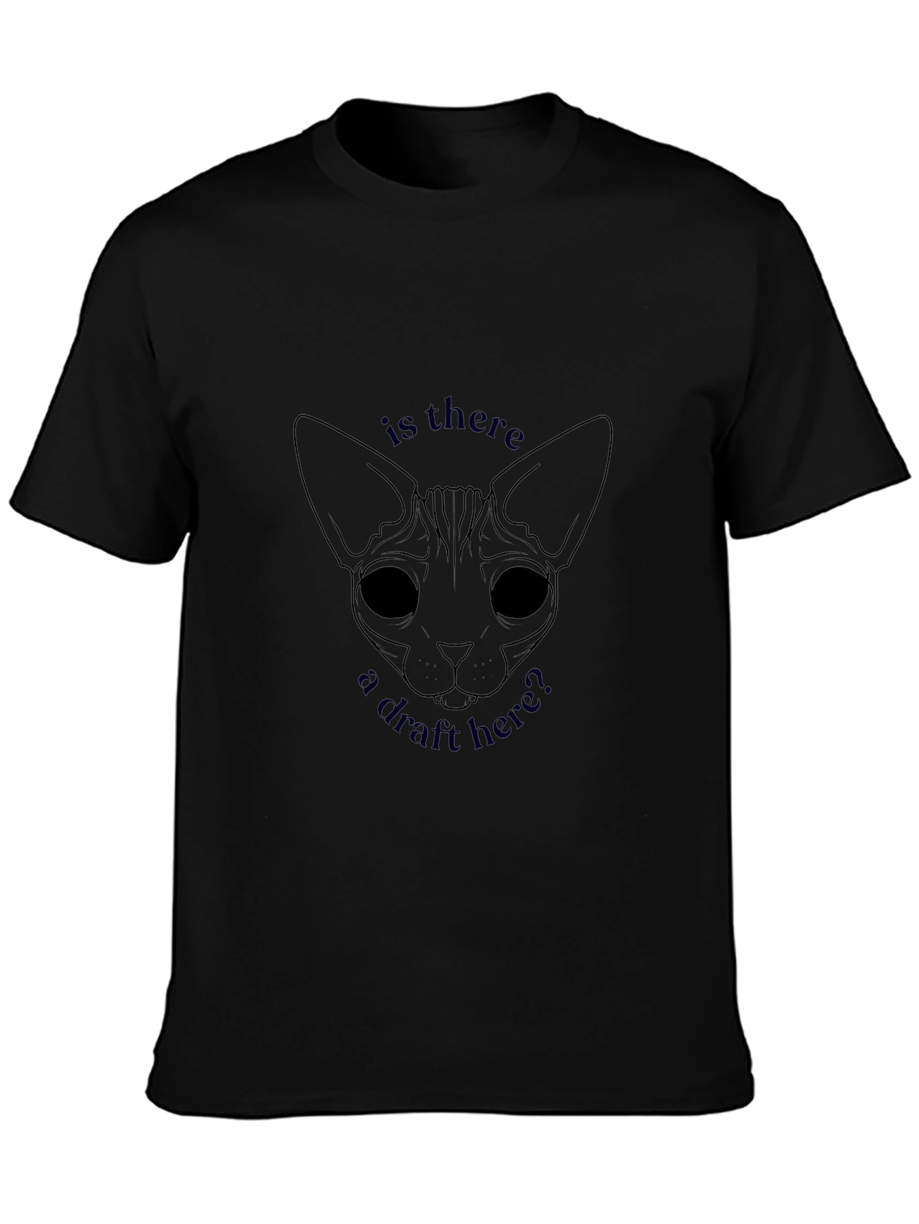 Sphynx Cat T-Shirt: Is There A Draft Here? Funny Cat Tee