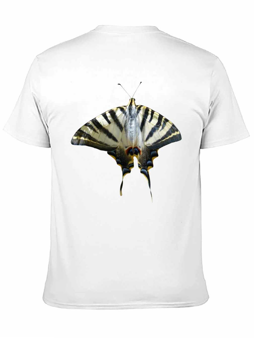 Butterfly Graphic Black T-Shirt
