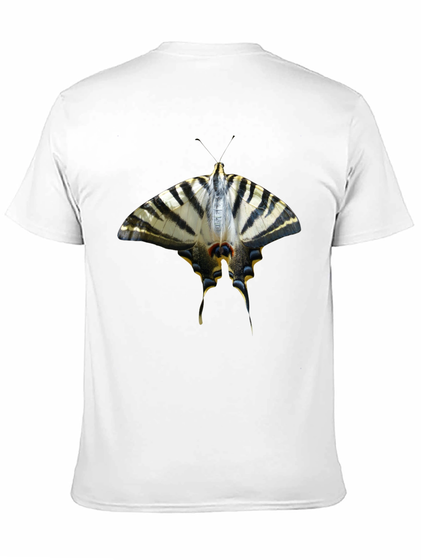Butterfly Graphic Black T-Shirt