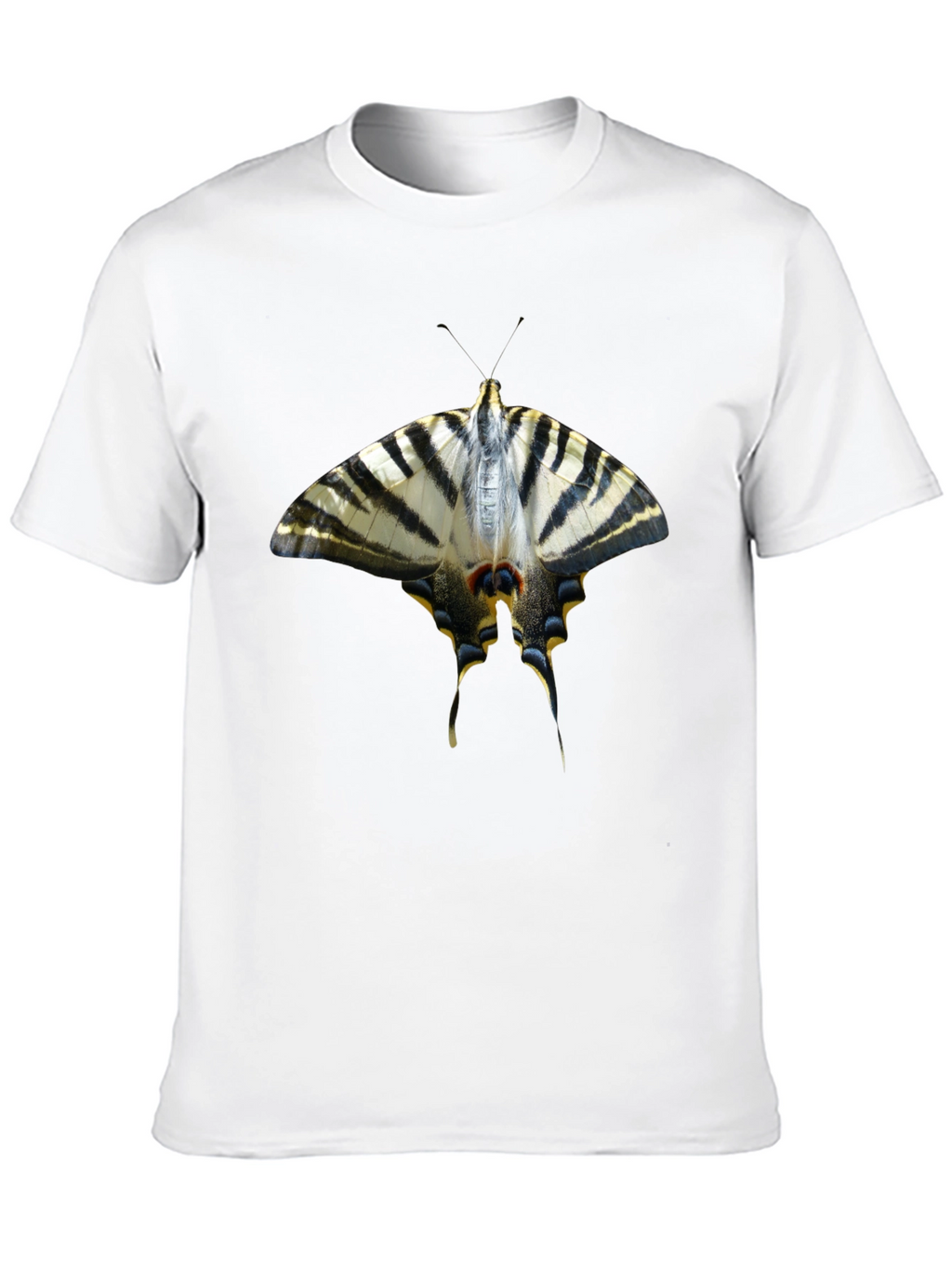 Butterfly Graphic Black T-Shirt