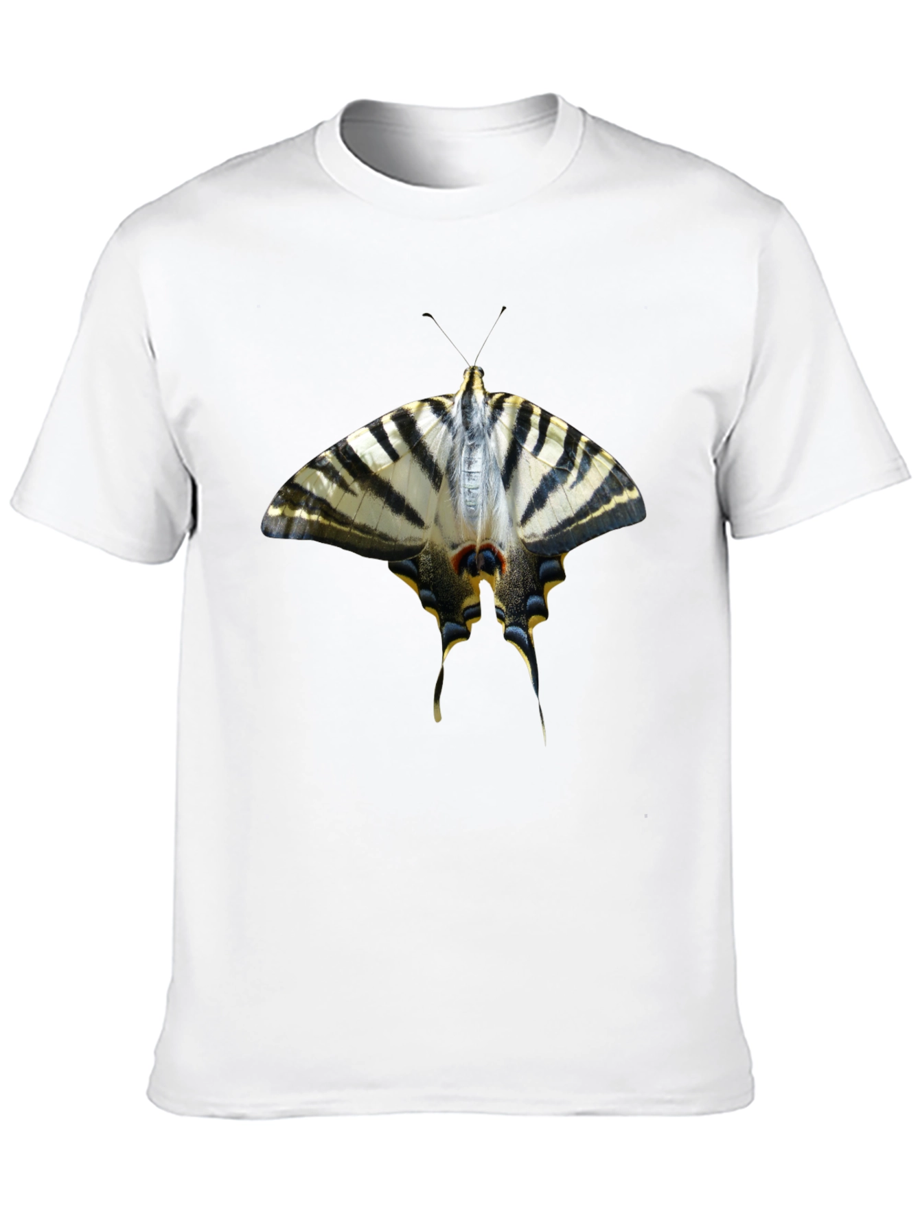 Butterfly Graphic Black T-Shirt