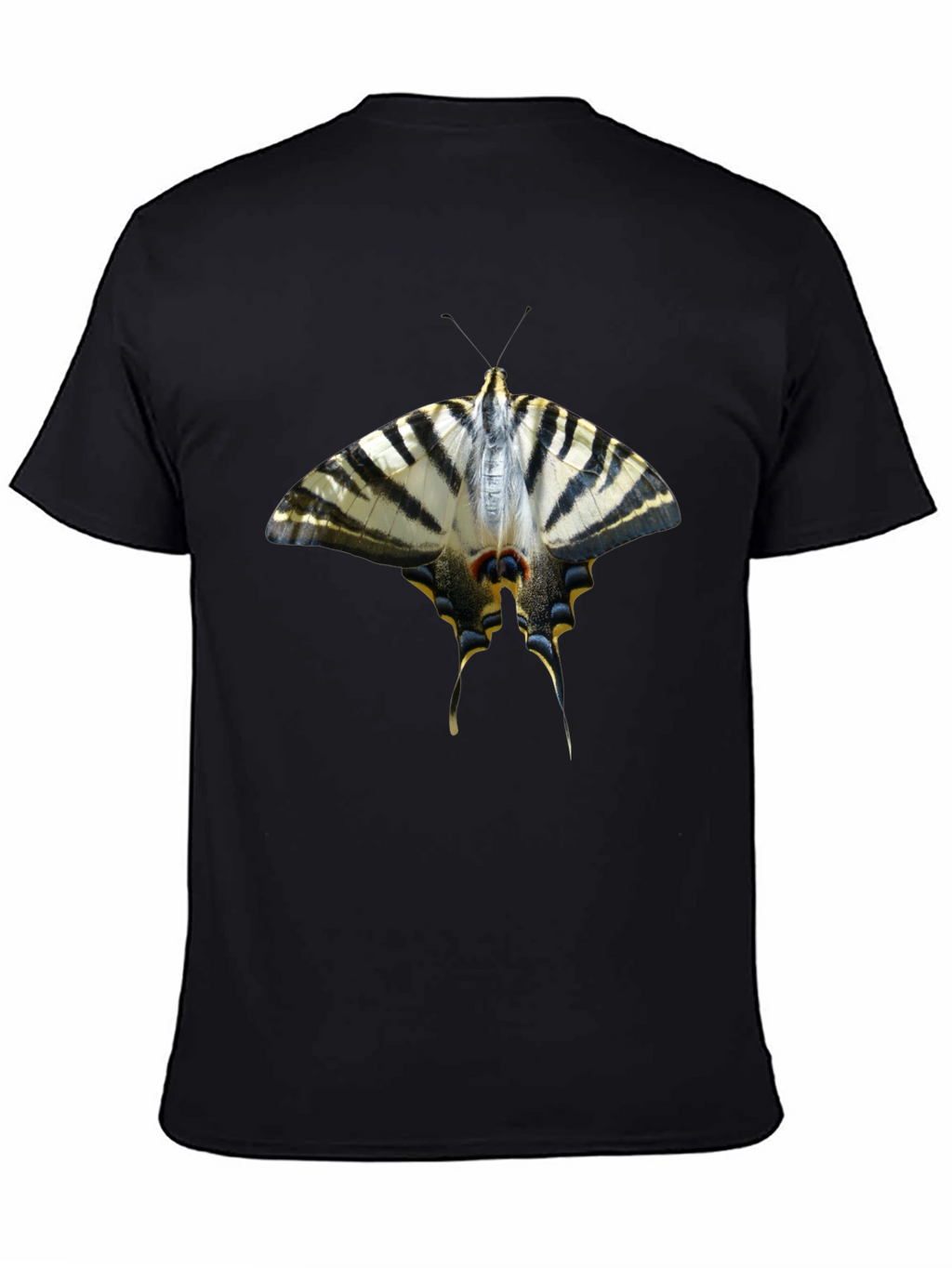 Butterfly Graphic Black T-Shirt