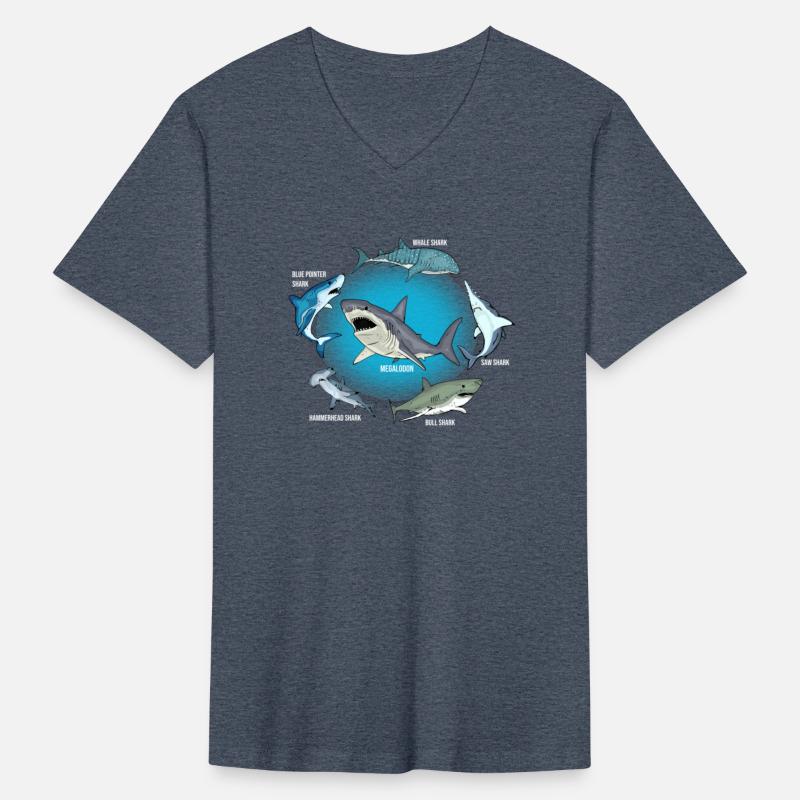 6 Shark Types SharksTypes Shark Sea Creatures