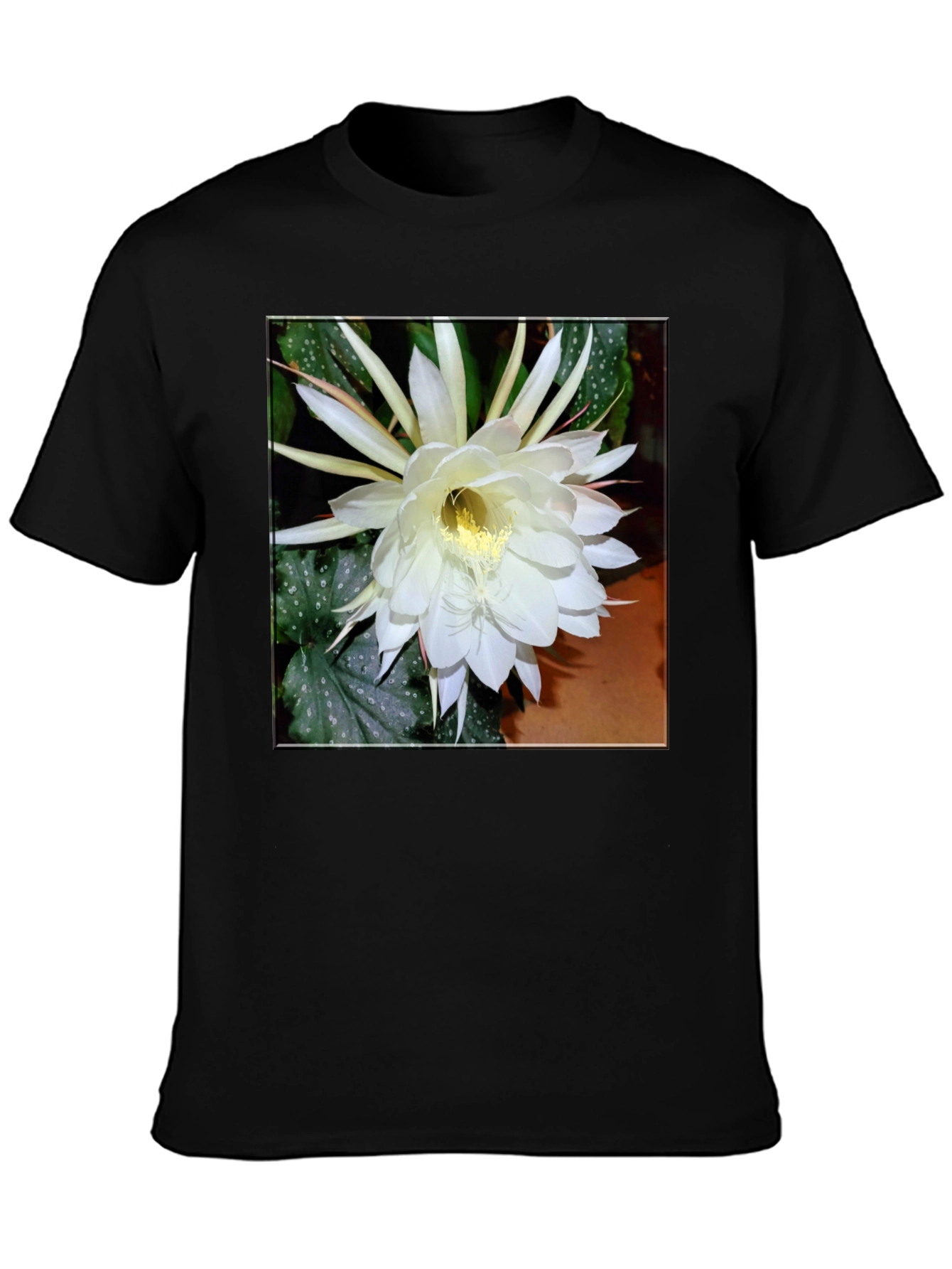 Floral Graphic Print Tee - Black Cotton T-Shirt