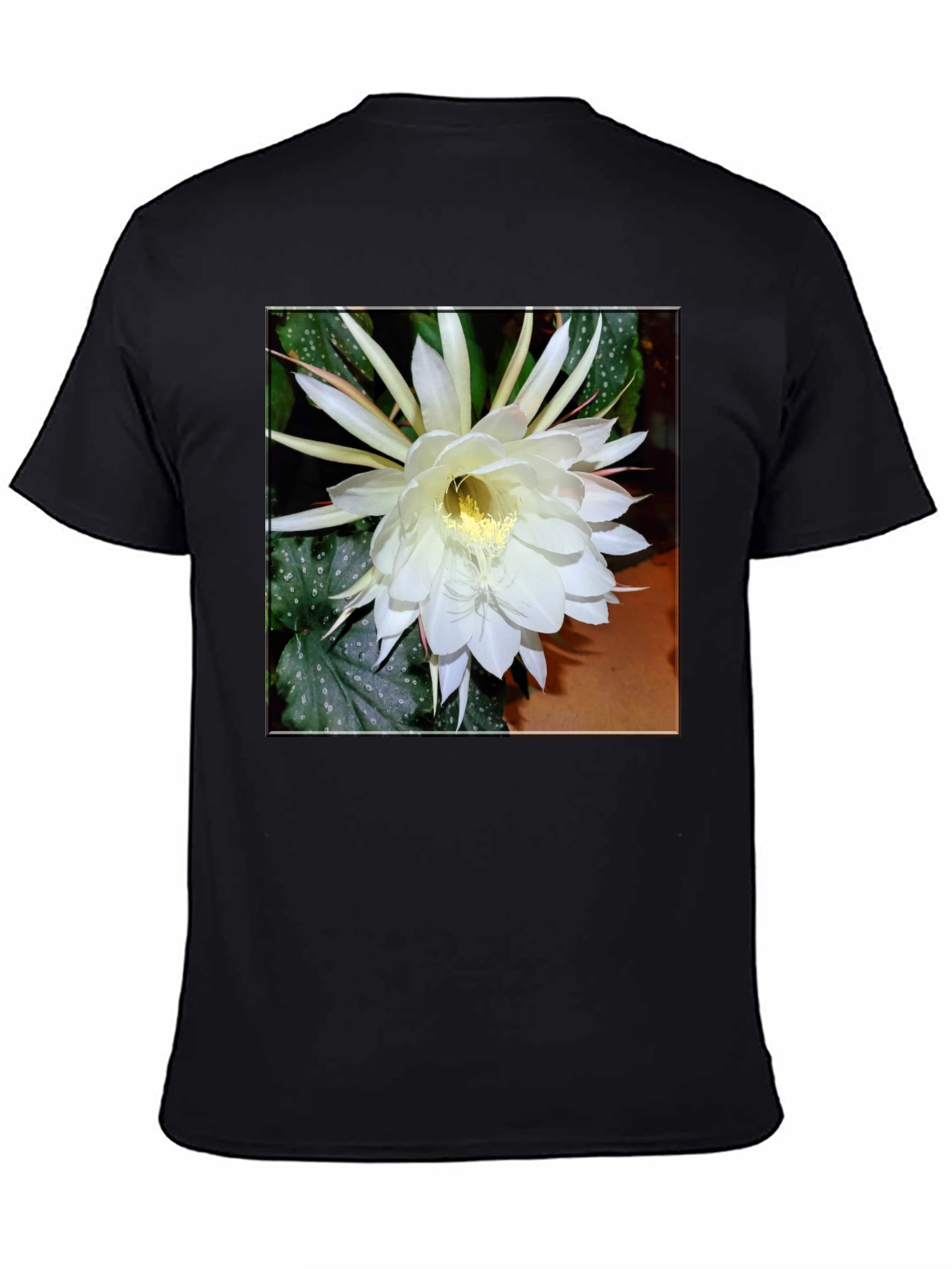 Floral Graphic Print Tee - Black Cotton T-Shirt