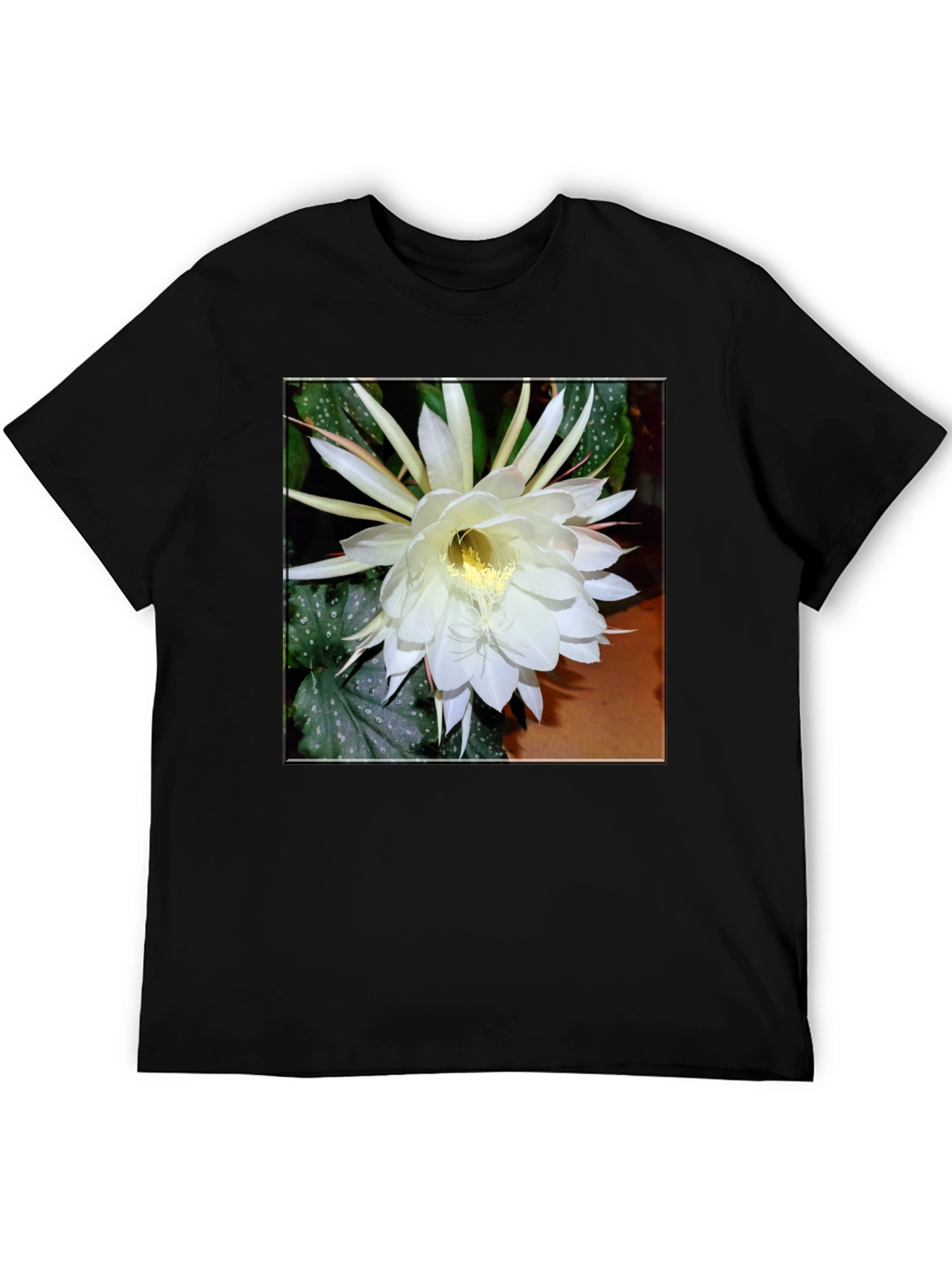 Floral Graphic Print Tee - Black Cotton T-Shirt