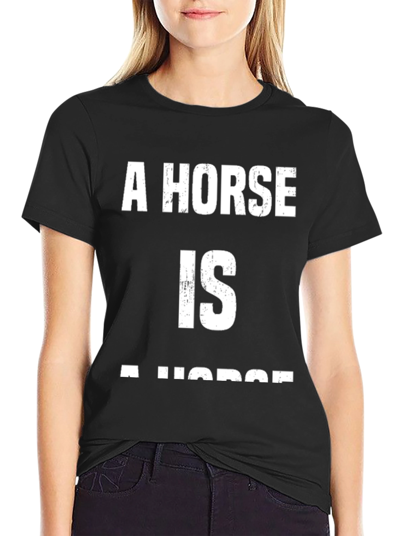 A Horse Is A Horse T-Shirt - Classic Design