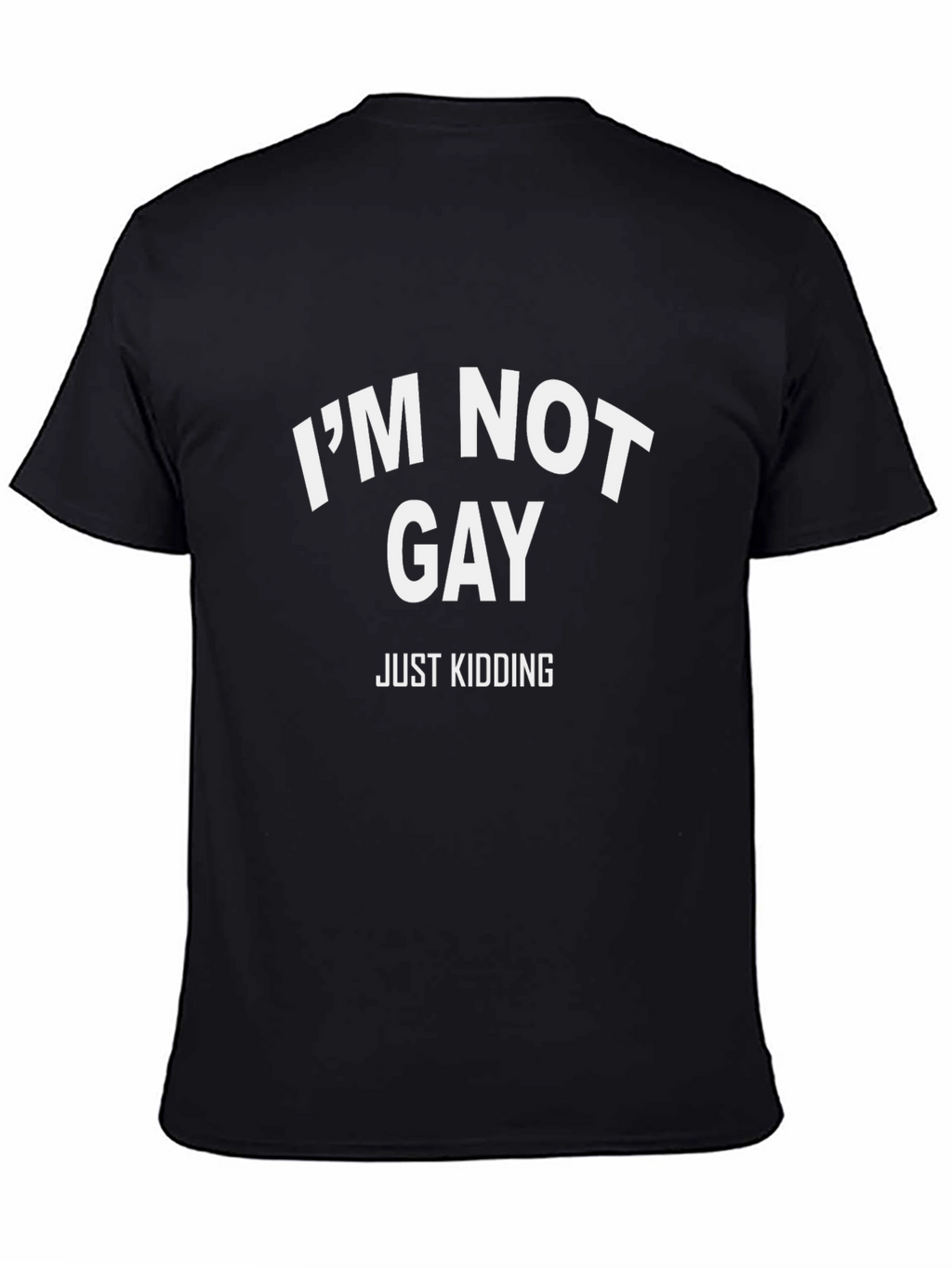 Funny Im Not Gay T-Shirt