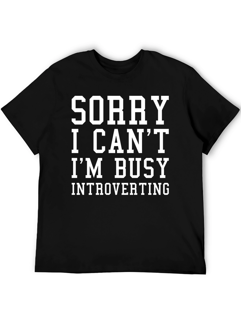 Introverting Graphic Tee - Sorry I Cant
