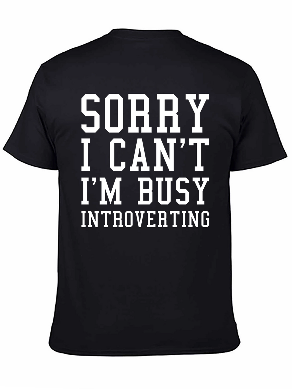 Introverting Graphic Tee - Sorry I Cant