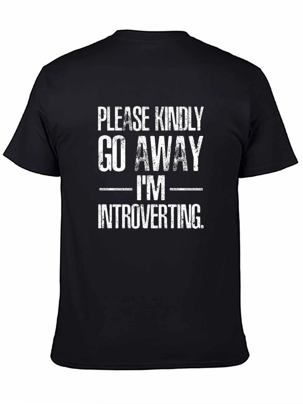 Introvert T-Shirt - Please Kindly Go Away