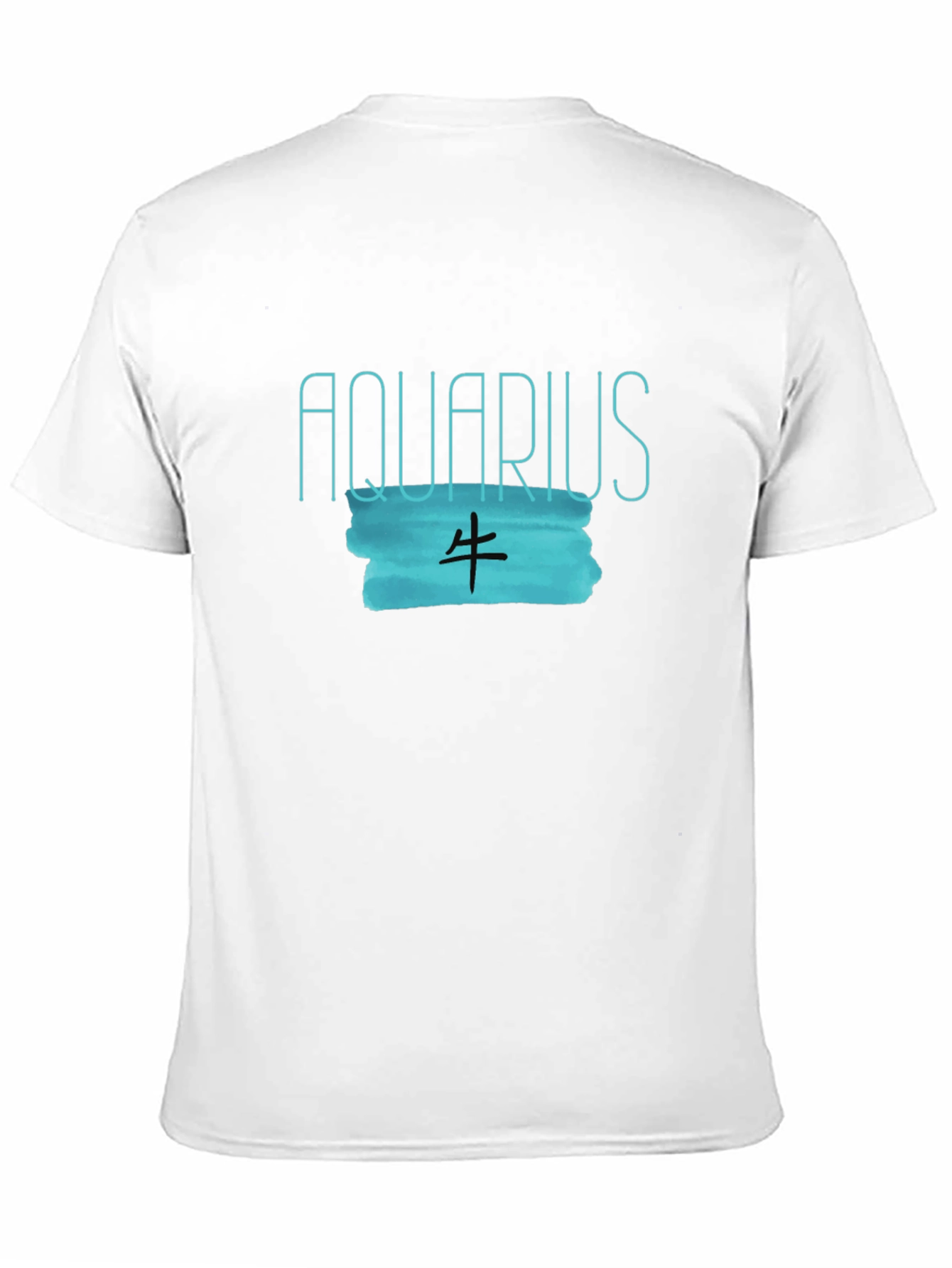 Aquarius Zodiac Black Graphic Tee