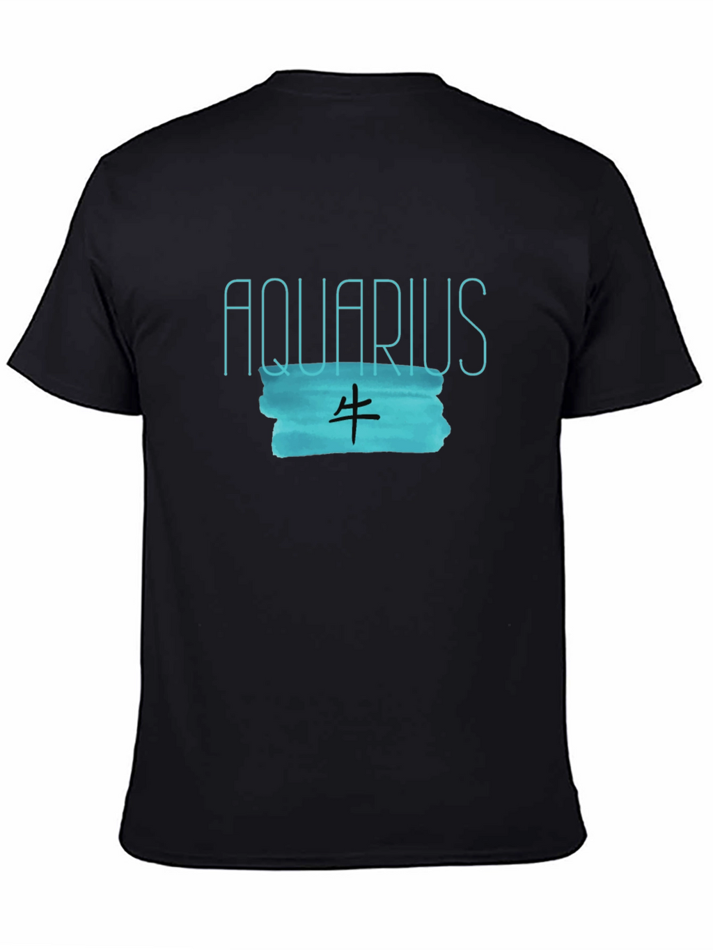 Aquarius Zodiac Black Graphic Tee