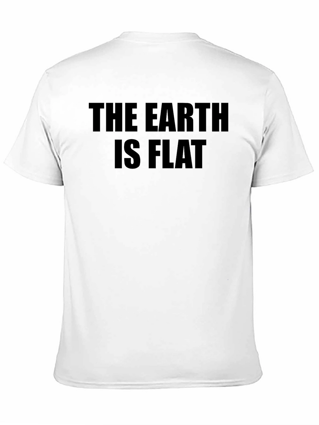 The Earth is Flat Novelty Graphic T-Shirt
