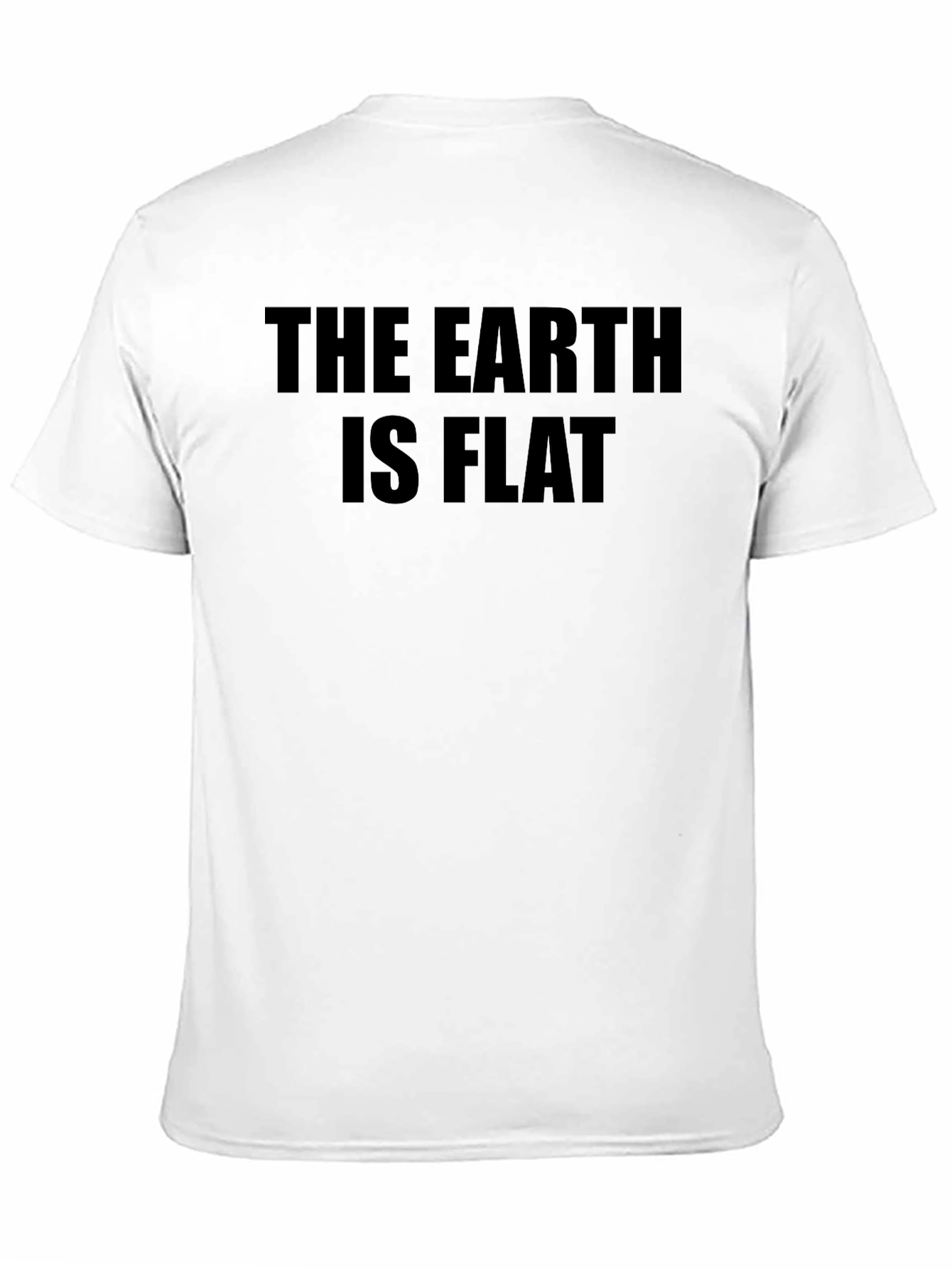 The Earth is Flat Novelty Graphic T-Shirt