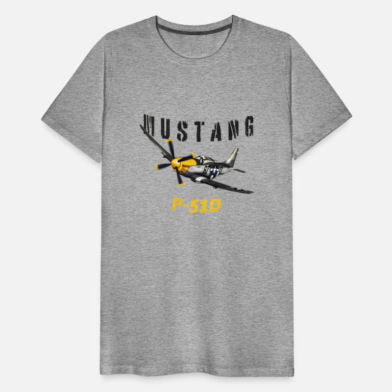 Mustang P-51D Fighter Plane