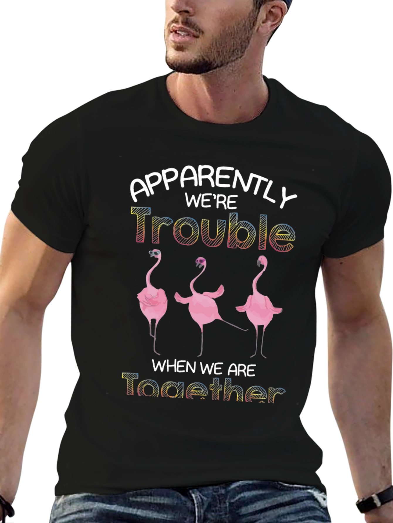 Apparently Were Trouble Flamingo T-Shirt