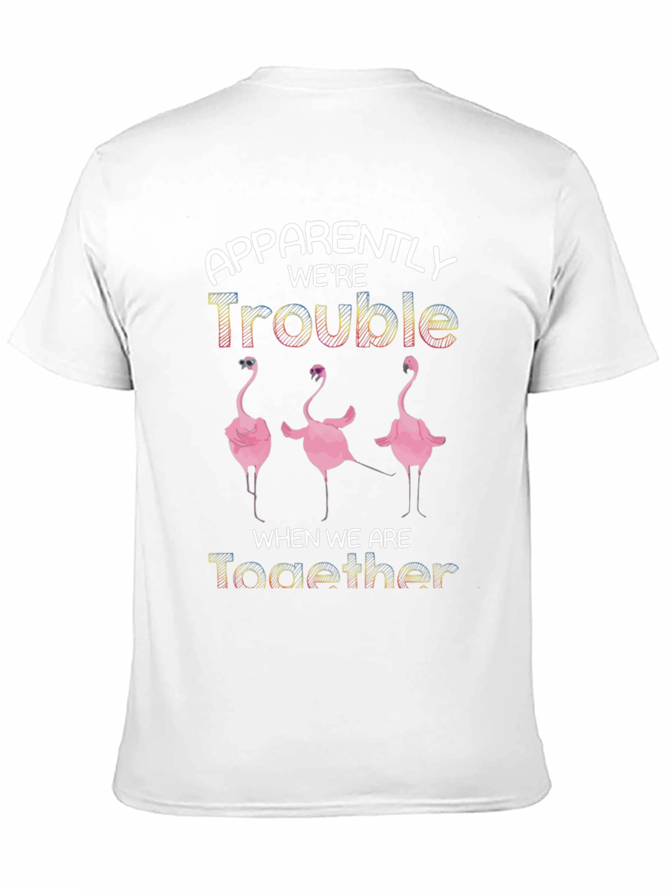 Apparently Were Trouble Flamingo T-Shirt