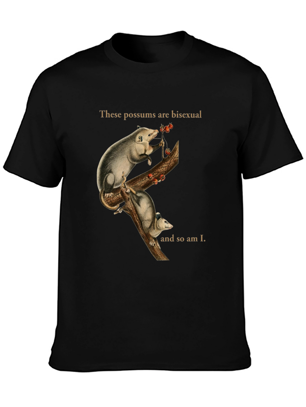 Bi Possum T-Shirt - Unique Graphic Tee