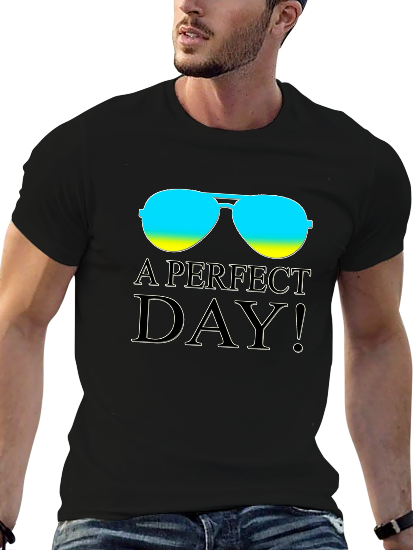 A Perfect Day Graphic Tee - Stylish Aviator T-Shirt