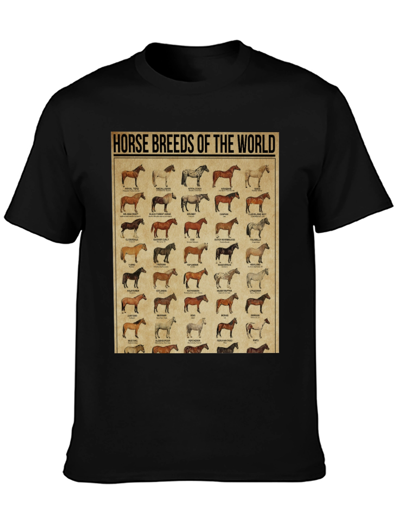 Horse Breeds of the World Graphic Tee