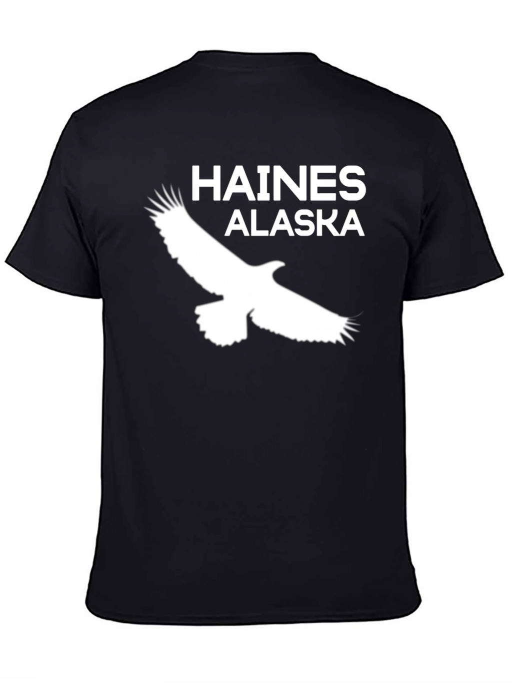 Haines Alaska Eagle Graphic T-Shirt