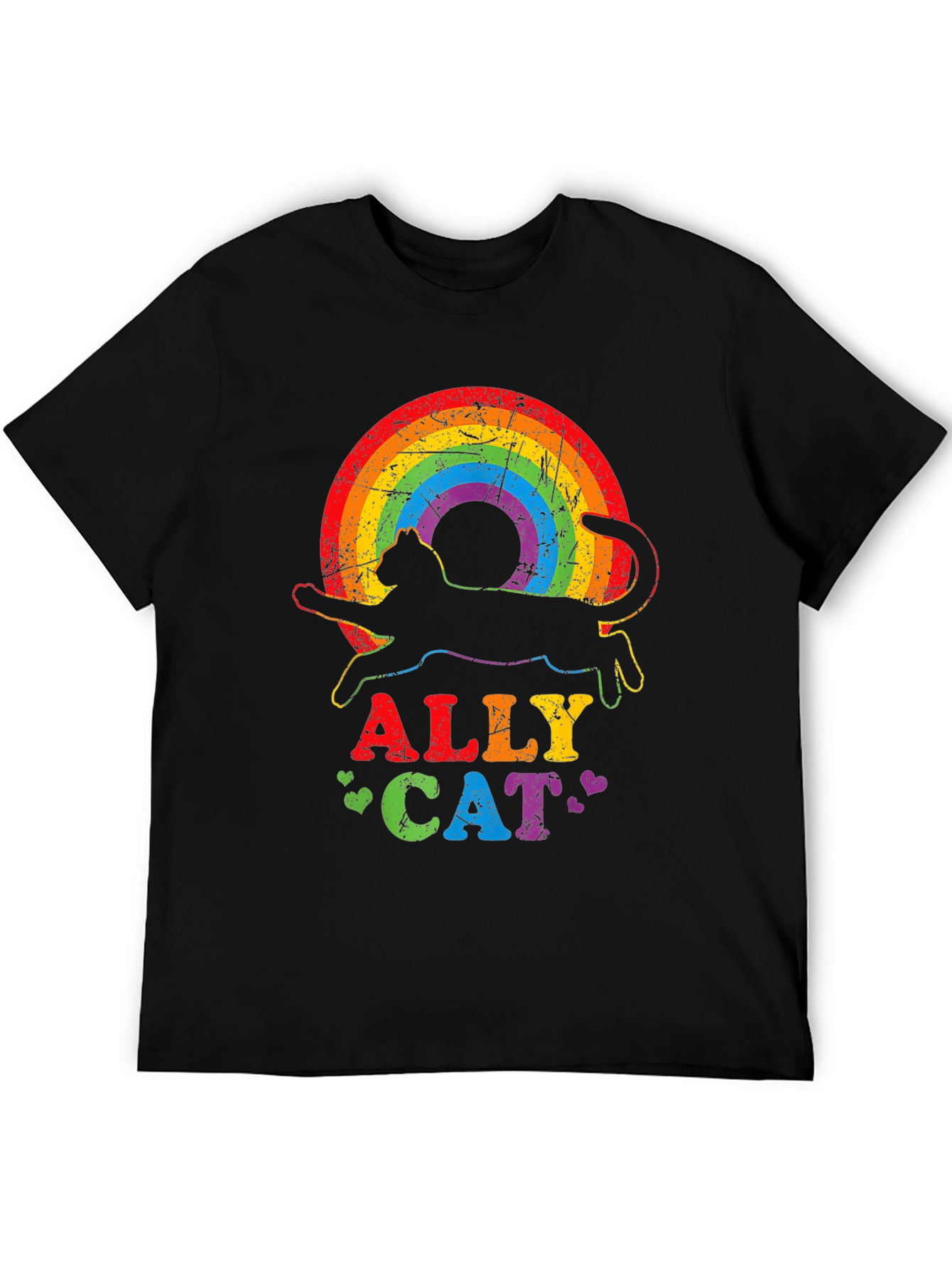 Ally Cat Rainbow T-Shirt