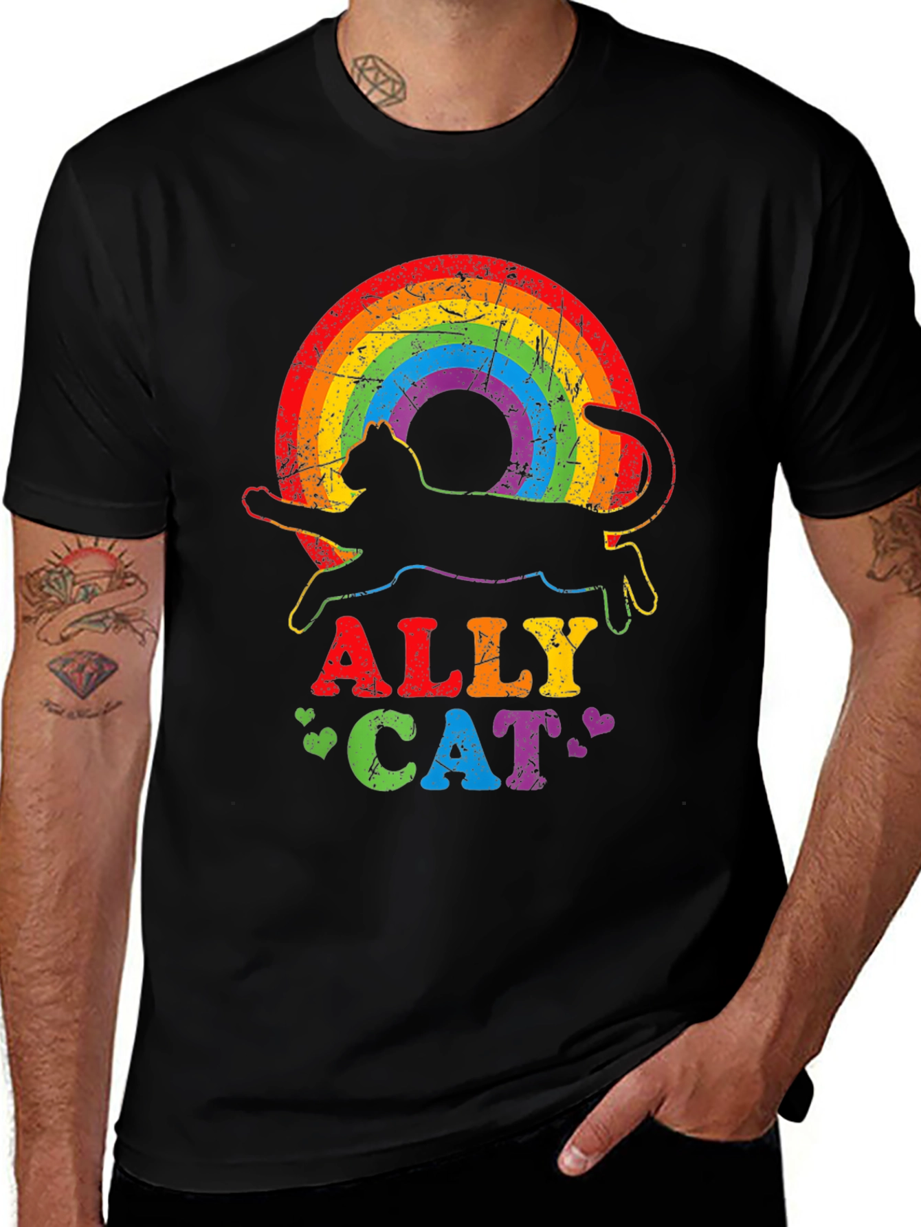 Ally Cat Rainbow T-Shirt