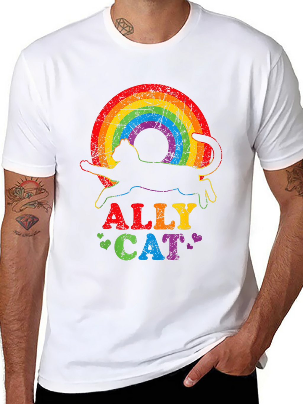 Ally Cat Rainbow T-Shirt